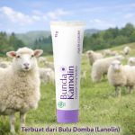 Nipple cream Bunda Kamolin Menyusui