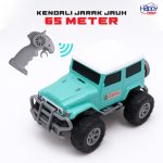 Jual Mobil Remot Kontrol (Mobil RC) Happy Truck tahan banting dan kuat dengan harga termurah